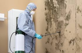 Best Mold Remediation for Healthcare Facilities in Shirley, NY